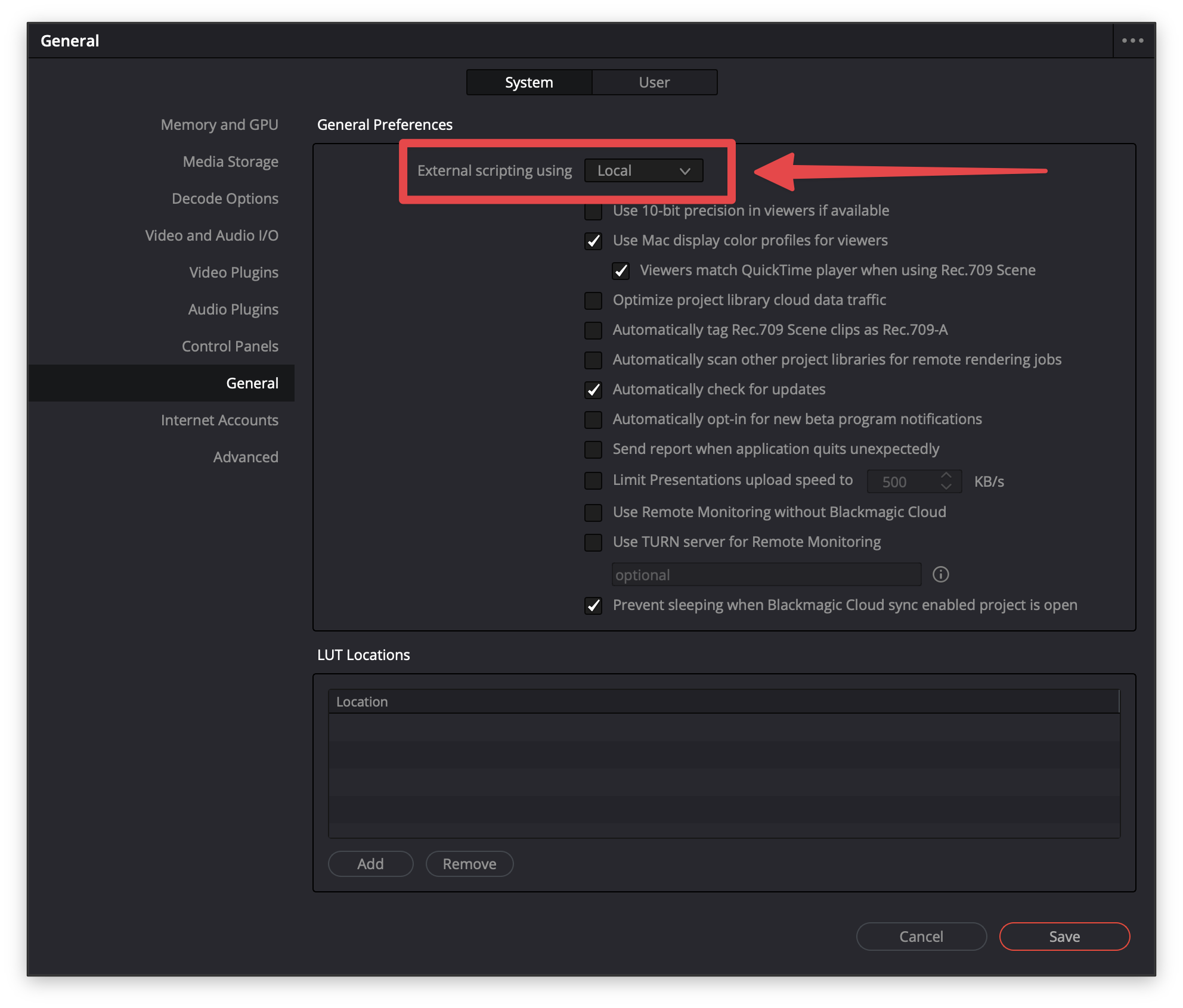 DaVinci Resolve Preferences showing External scripting set to Local